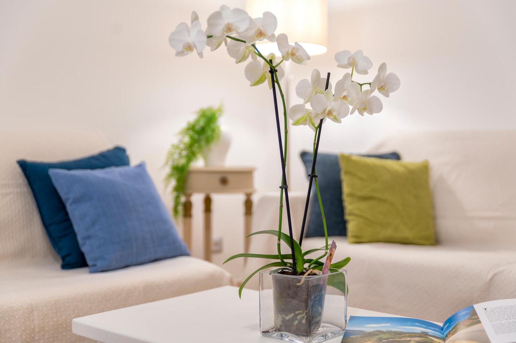 Casa Comoda A Due Passi Dal Lungomare Alghero Extérieur photo